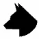 unassuming wolf in black and white