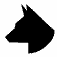 unassuming wolf in black and white